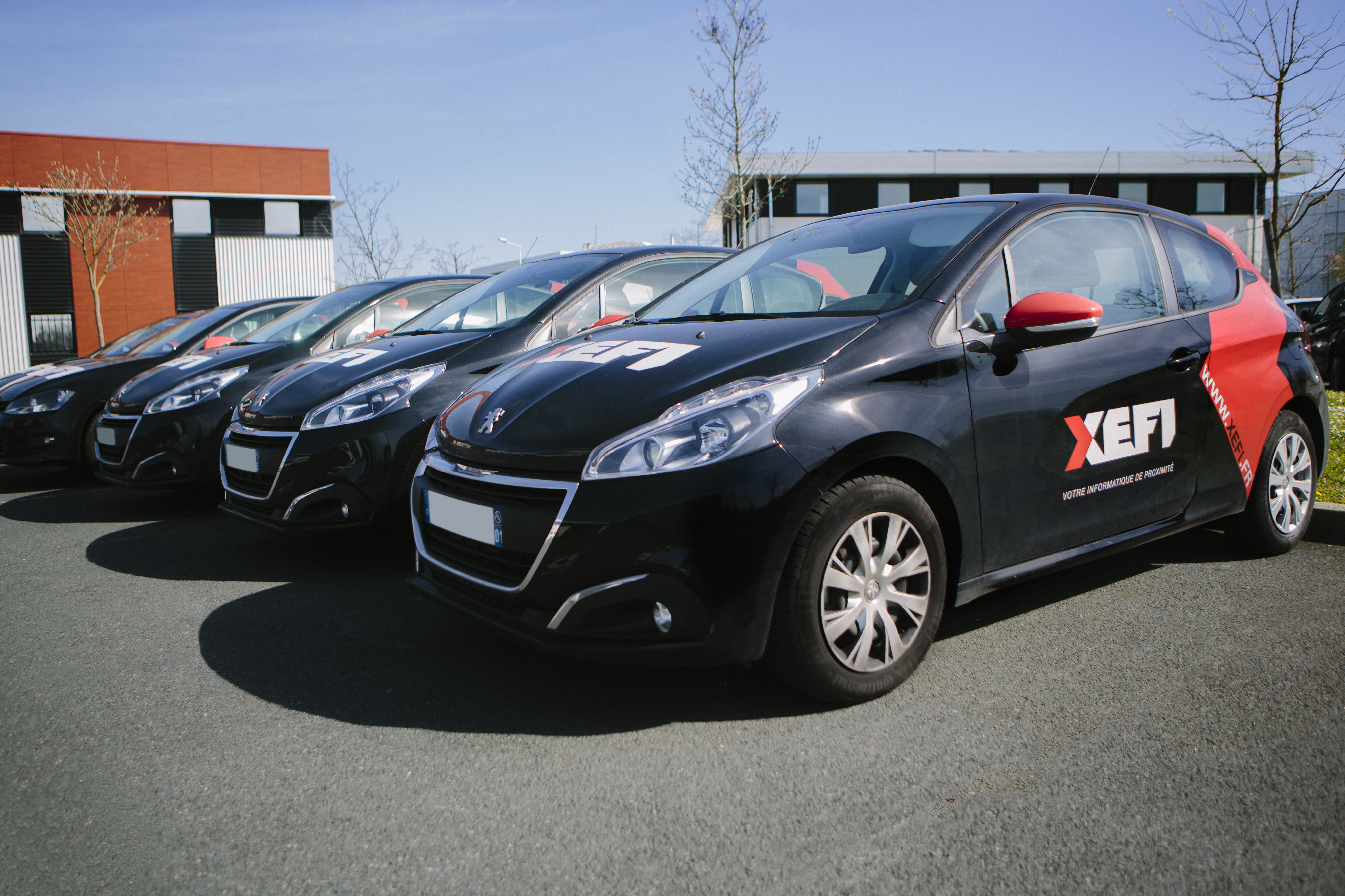 Miniature de la galerie