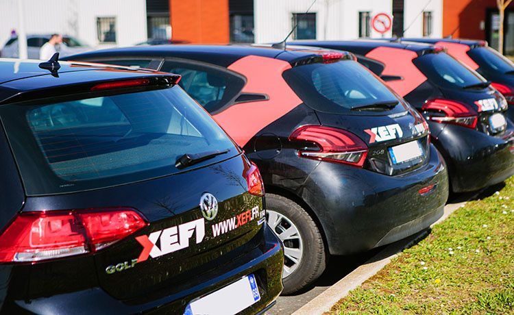 Miniature de la galerie