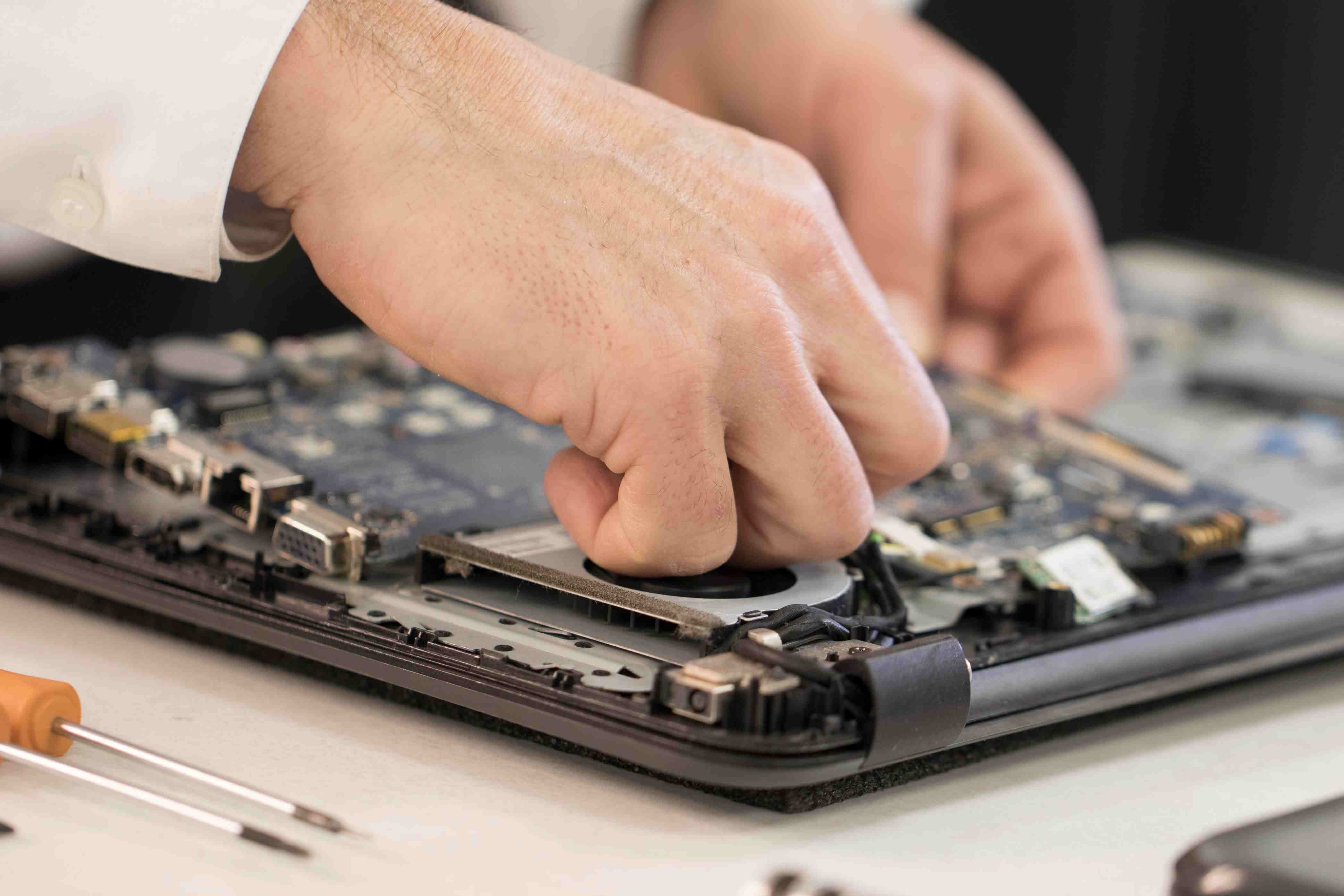 Miniature de la galerie