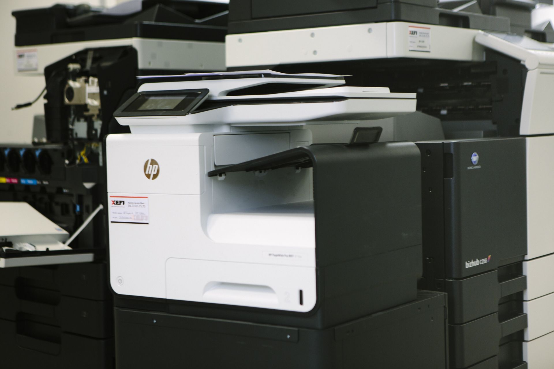 Miniature de la galerie