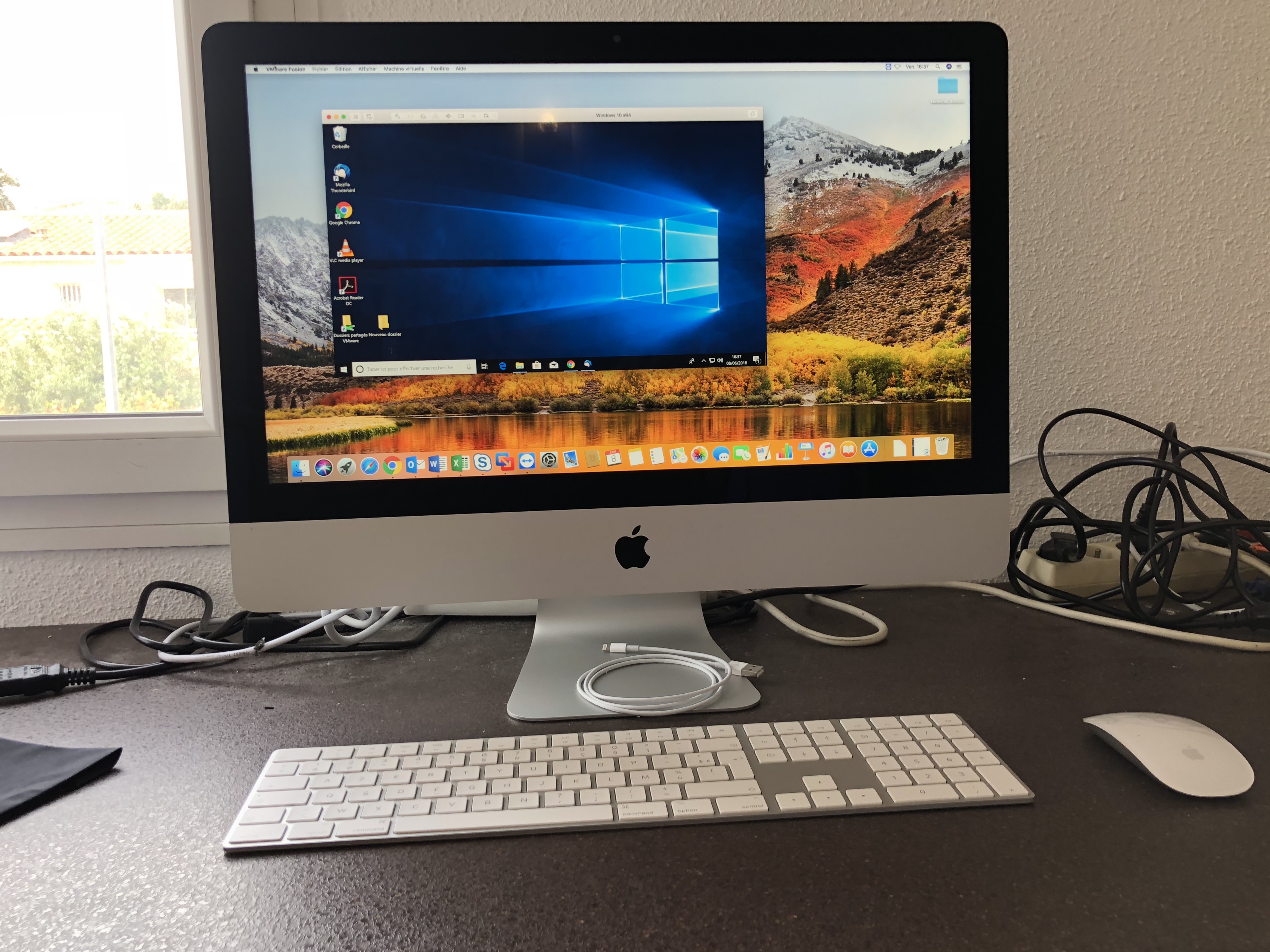 Miniature de la galerie