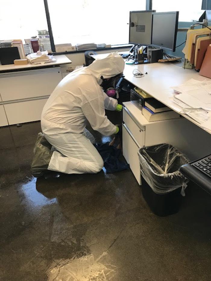 Alliance Environmental Group - San Jose, CA