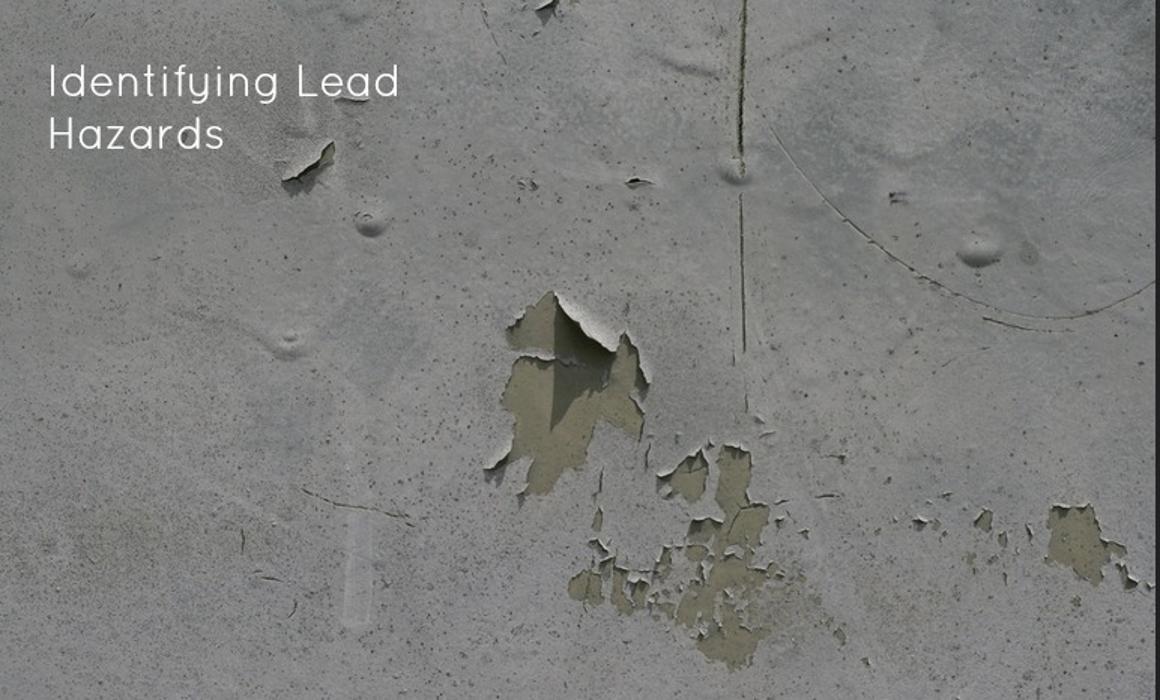 Alliance Environmental Group - San Jose, CA