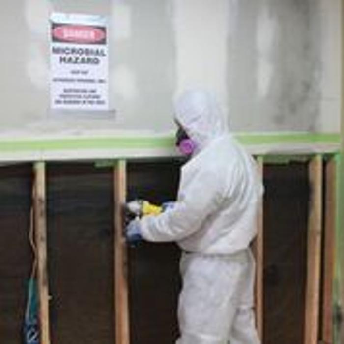 Alliance Environmental Group - Thousand Oaks - Newbury Park, CA