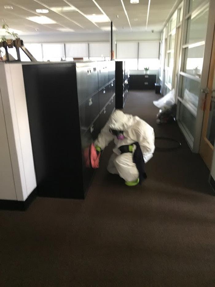 Alliance Environmental Group - Thousand Oaks - Newbury Park, CA