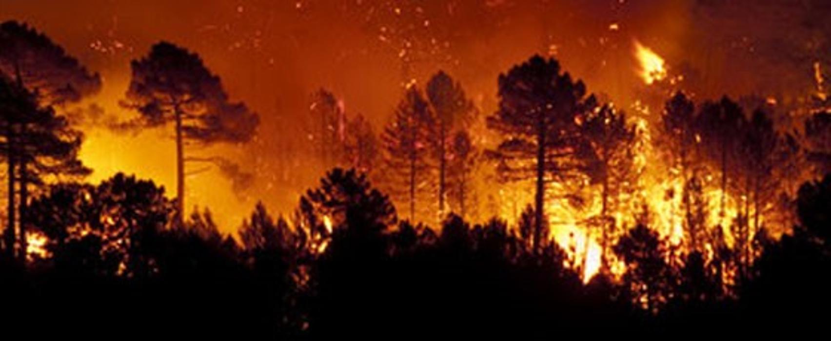 Alliance Environmental Group - Thousand Oaks - Newbury Park, CA