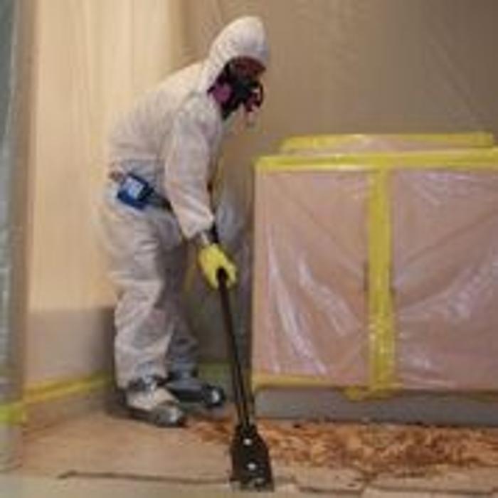 Alliance Environmental Group - Thousand Oaks - Newbury Park, CA