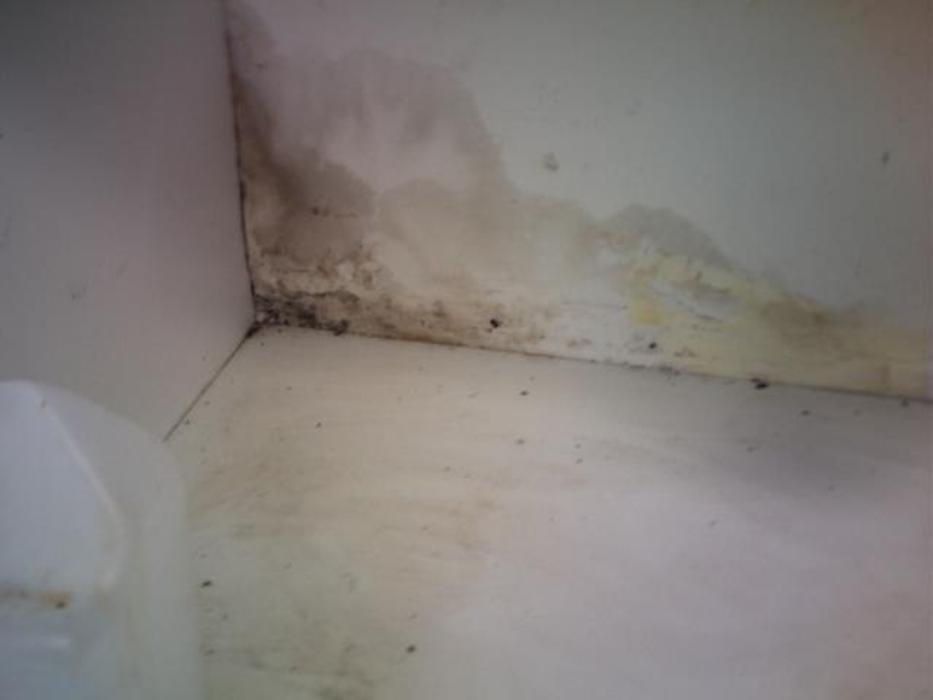 Alliance Environmental Group - Thousand Oaks - Newbury Park, CA