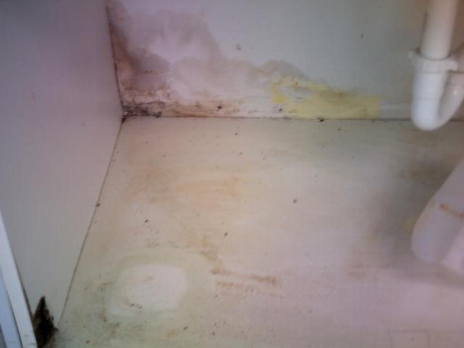 Alliance Environmental Group - Thousand Oaks - Newbury Park, CA