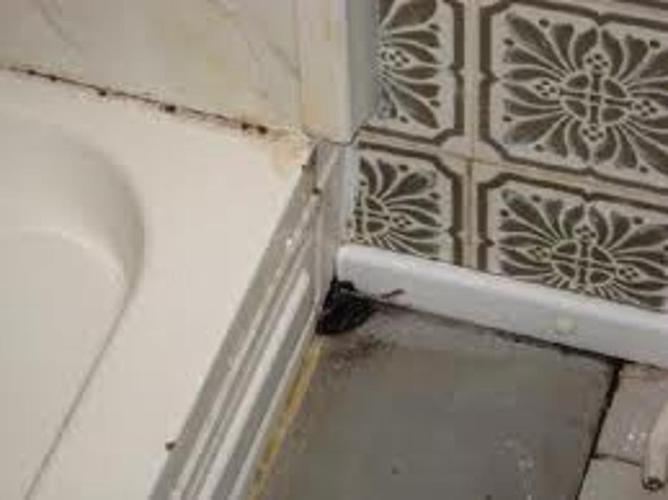 Alliance Environmental Group - Thousand Oaks - Newbury Park, CA