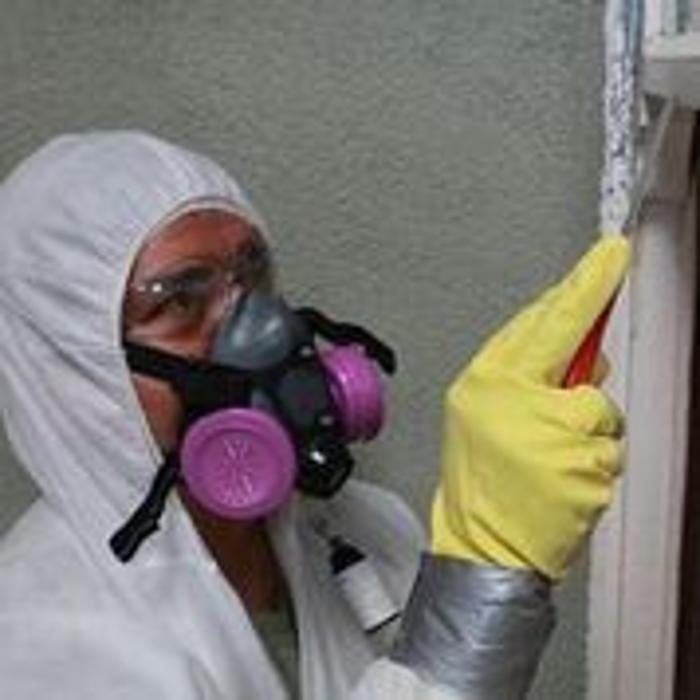 Alliance Environmental Group - Thousand Oaks - Newbury Park, CA