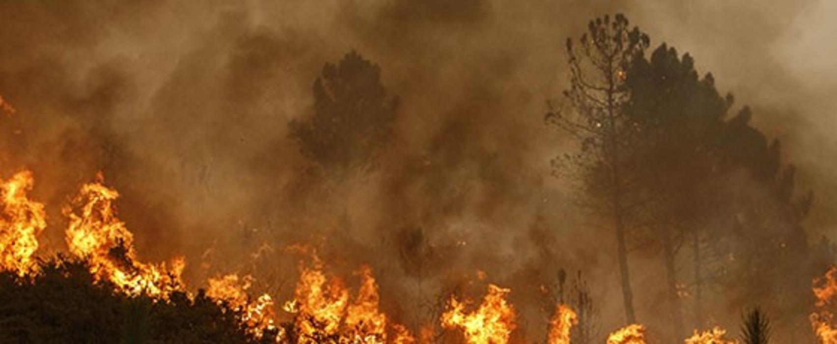 Alliance Environmental Group - Thousand Oaks - Newbury Park, CA