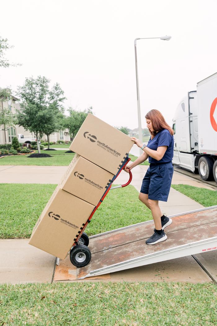 North American Moving Services Image