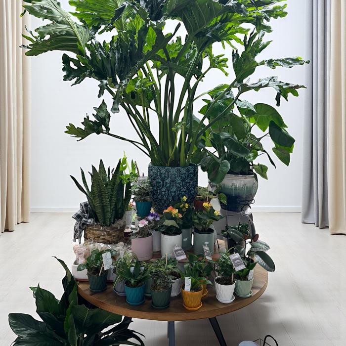 Southbury Country Florist Image