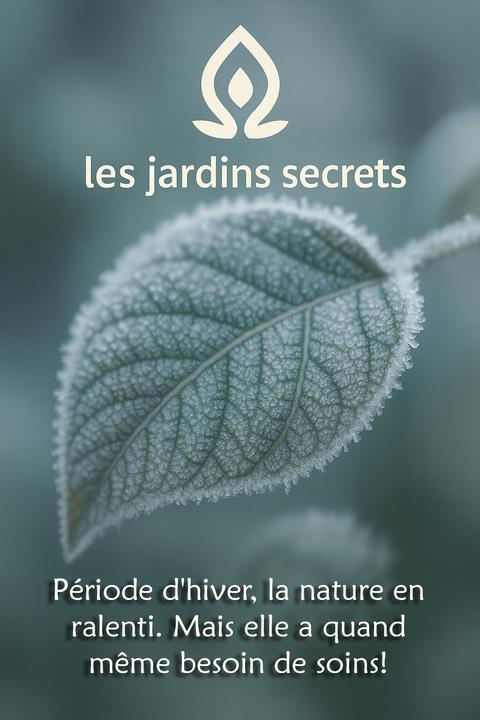 Les Jardins Secrets paysagiste conseil