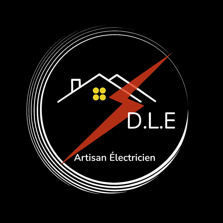 Damien Lereau Électricité Expert