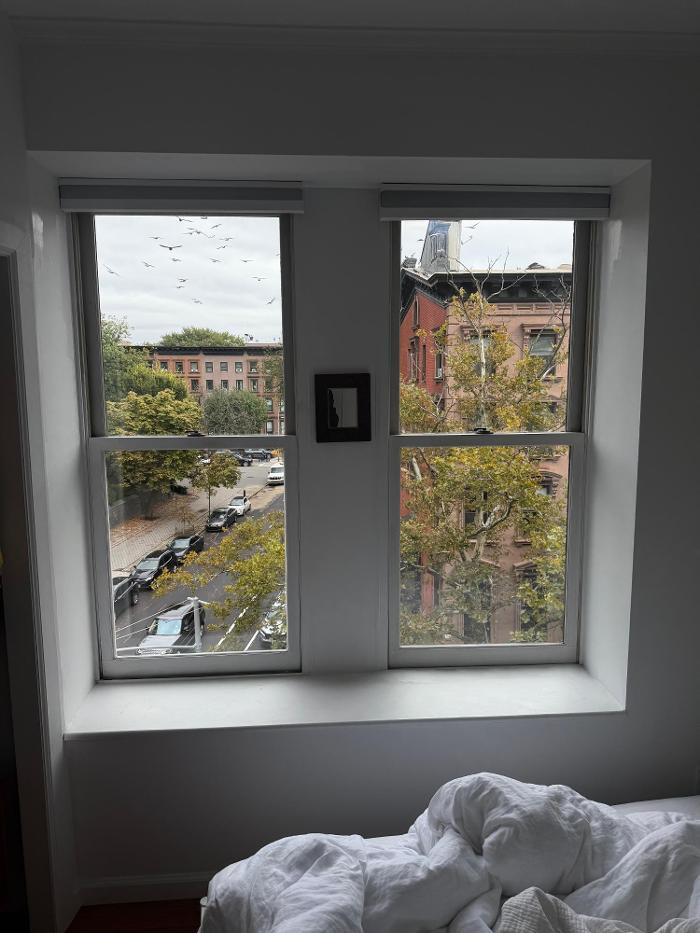 NY Window Cleaning Services Logo