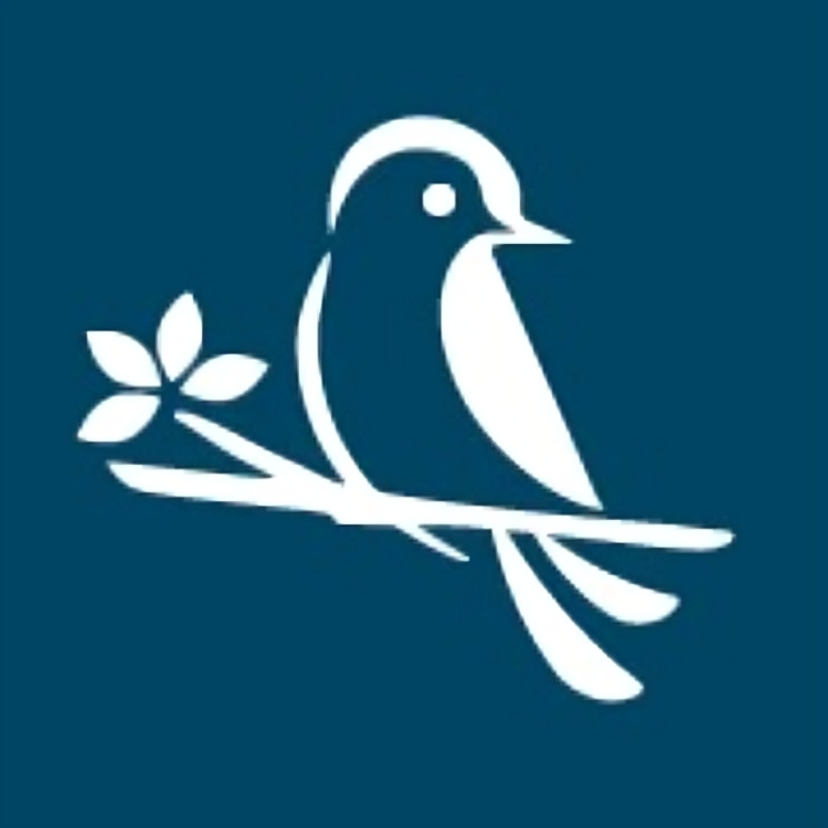 Circular Image