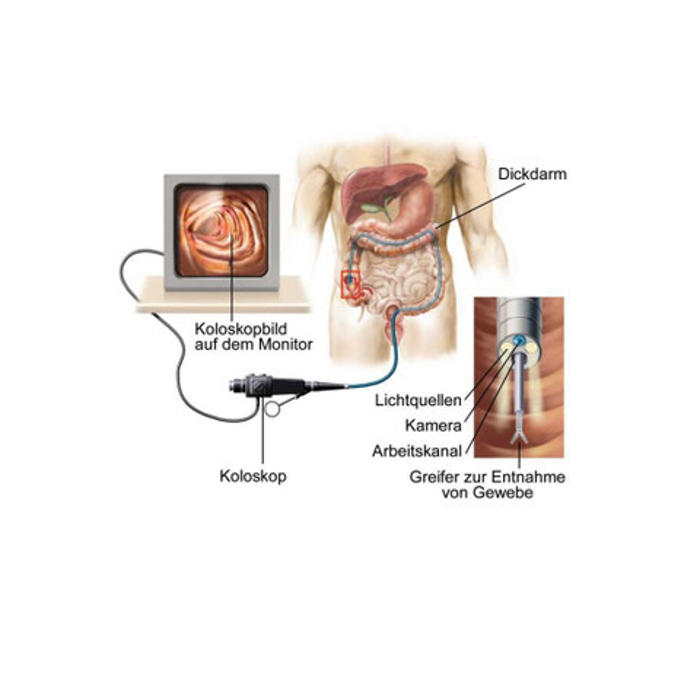 Herr Dr. med. Lutz Lerche, Sandstraße in Lübeck