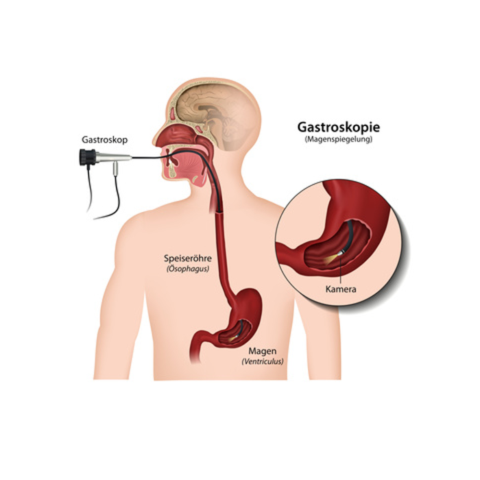 Herr Dr. med. Lutz Lerche, Sandstraße in Lübeck