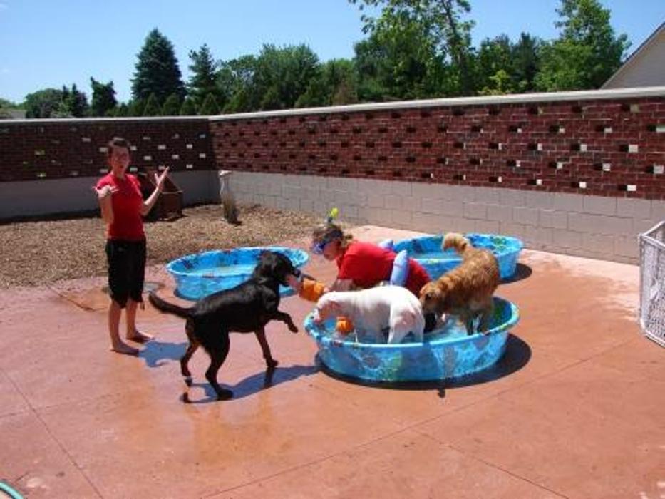 Animal Activity Center, Inc. - Clinton Township, MI