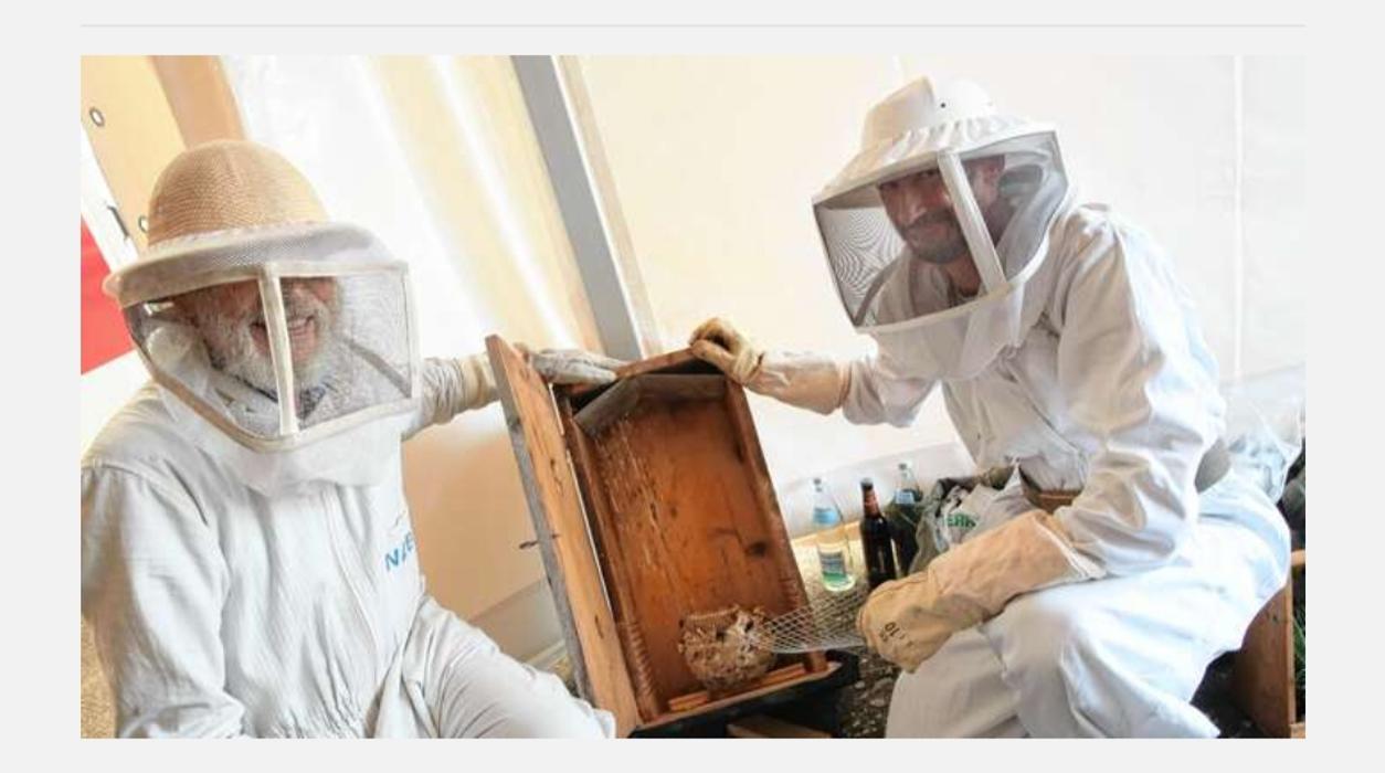 SKS Schädlingsbekämpfung Sackmann, Austraße in Rust