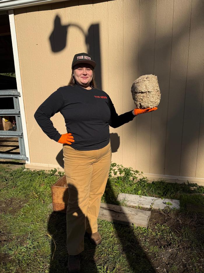 The Hive Pest Control Logo