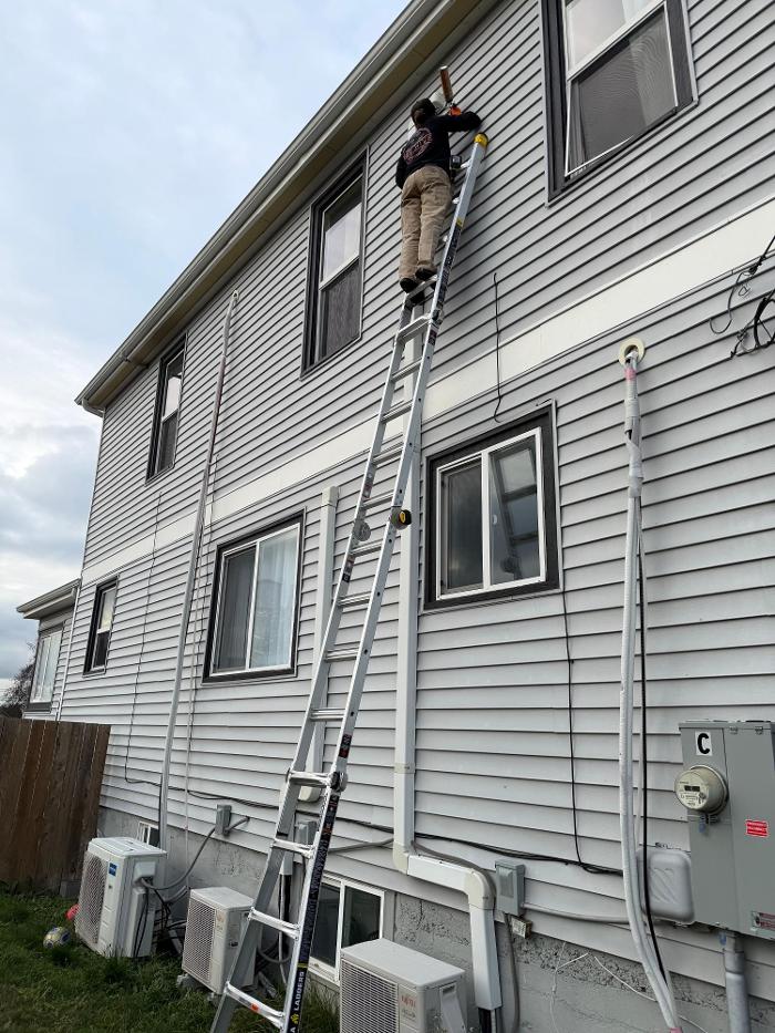 The Hive Pest Control Image