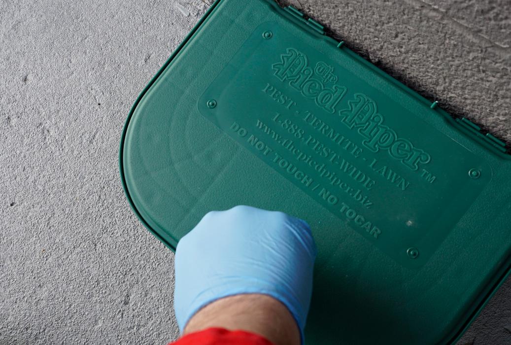 Pied Piper Pest, Termite & Lawn Service Image