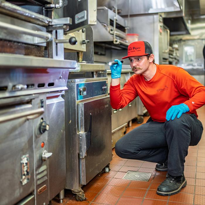 Pied Piper Pest, Termite &amp; Lawn Service Logo