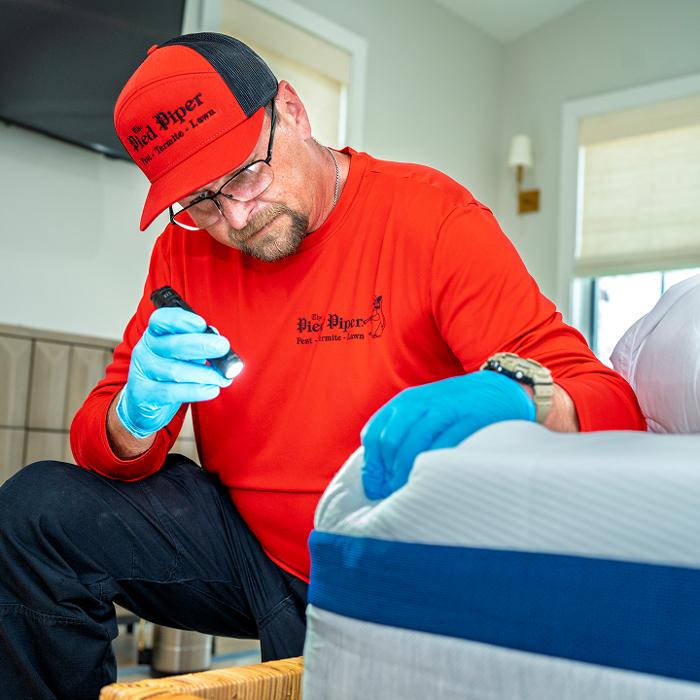 Pied Piper Pest, Termite & Lawn Service Image