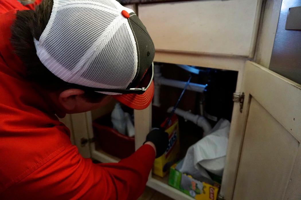 Pied Piper Pest, Termite & Lawn Service Image