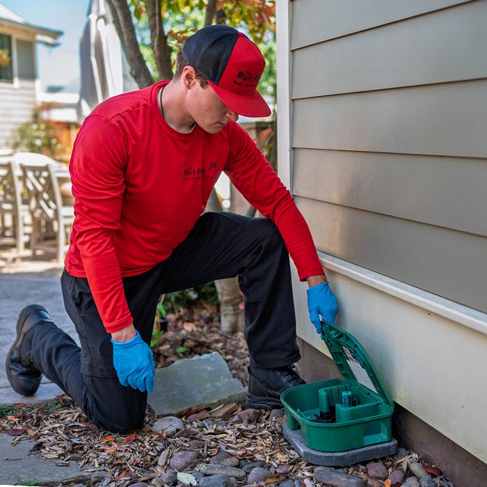 Pied Piper Pest, Termite & Lawn Service Image