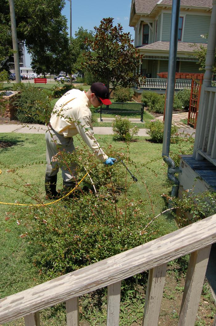 Pied Piper Pest, Termite & Lawn Service Image