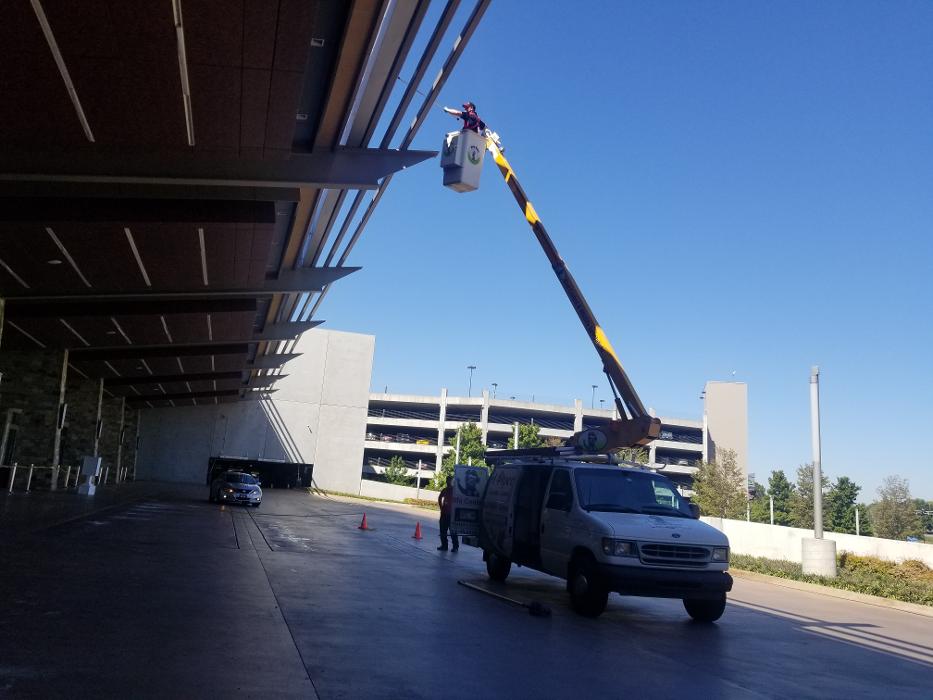 Pied Piper Pest, Termite & Lawn Service Image