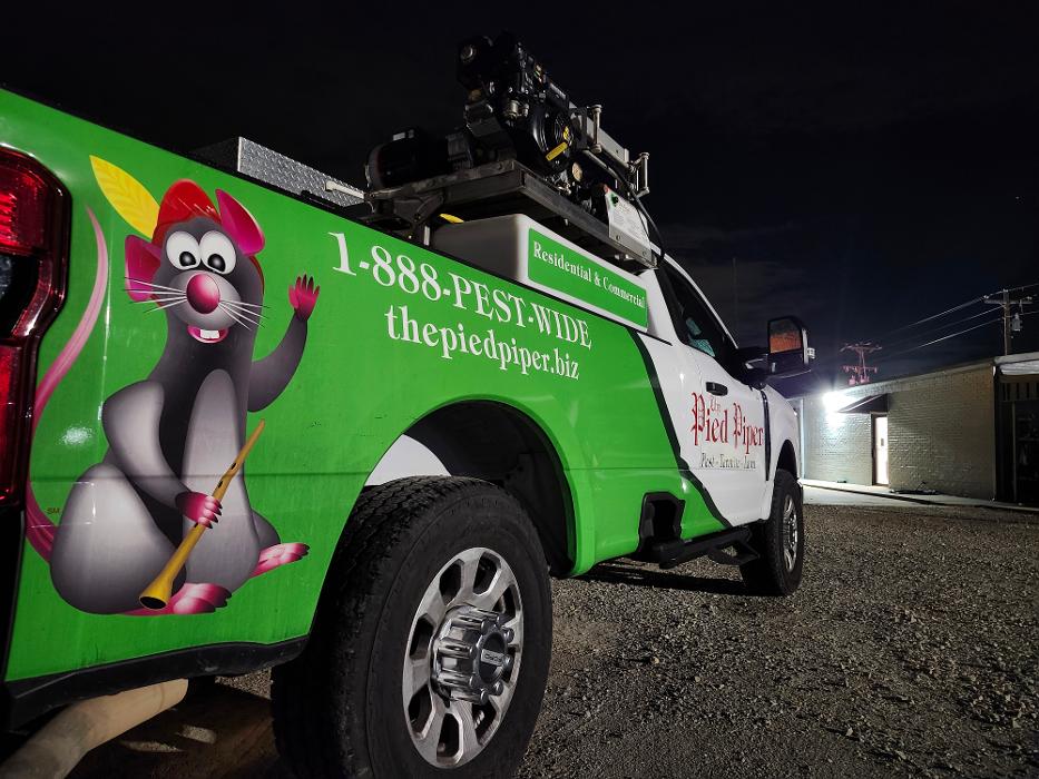 Pied Piper Pest, Termite & Lawn Service Image