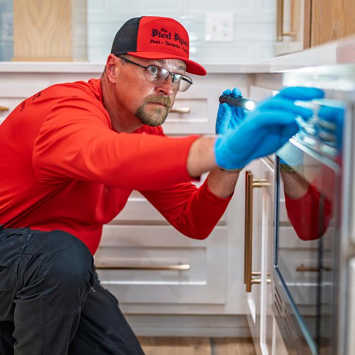 Pied Piper Pest, Termite & Lawn Service Image