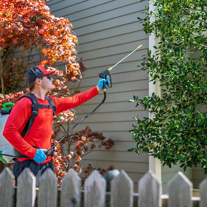 Pied Piper Pest, Termite & Lawn Service Image