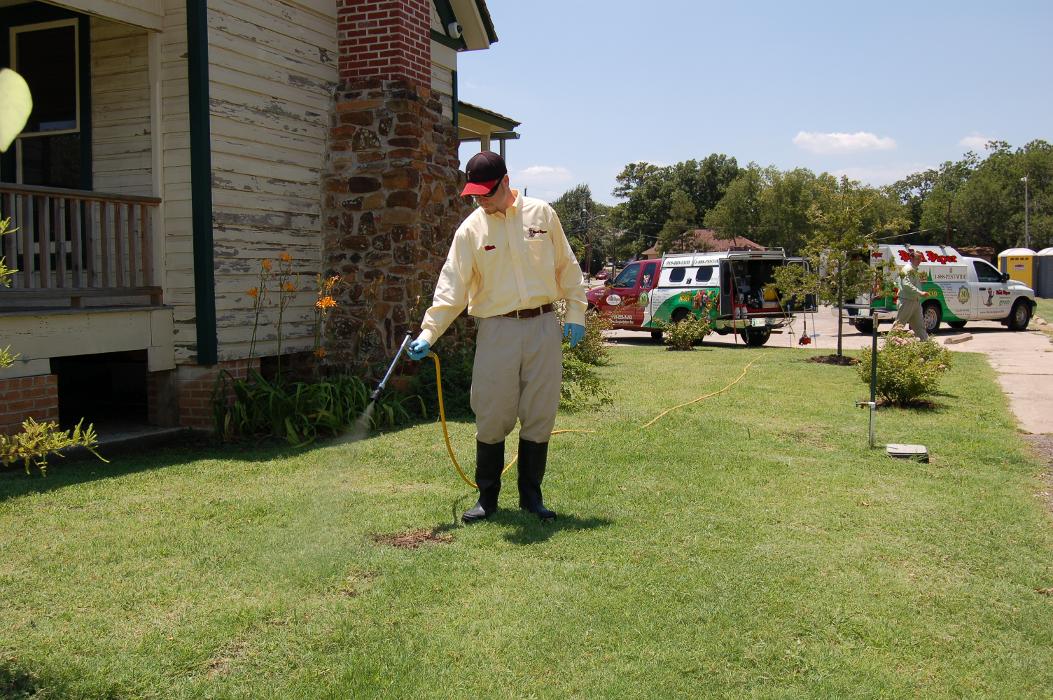 Pied Piper Pest, Termite & Lawn Service Image
