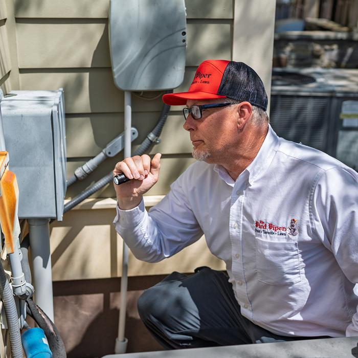 Pied Piper Pest, Termite & Lawn Service Image