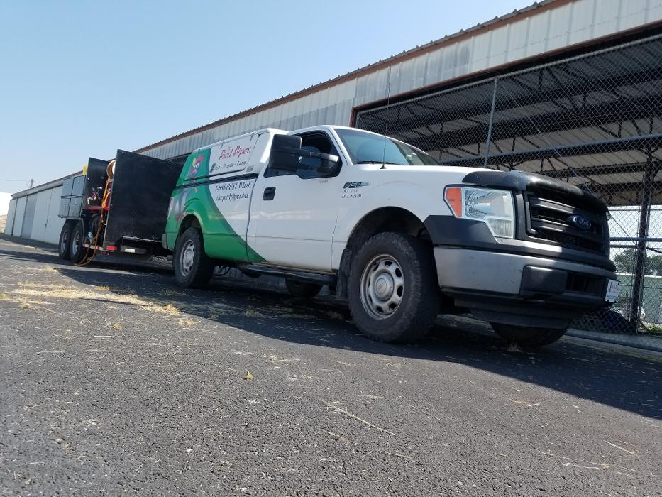 Pied Piper Pest, Termite & Lawn Service Image