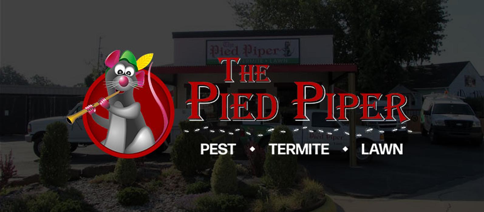 Pied Piper Pest, Termite & Lawn Service Image