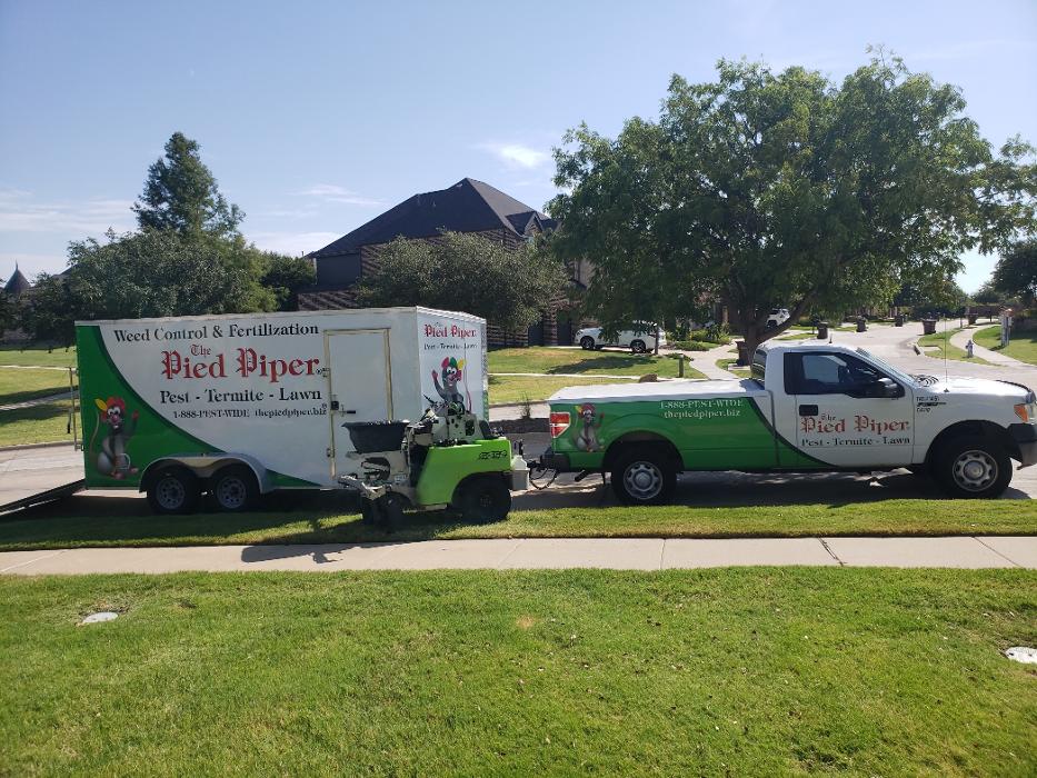 Pied Piper Pest, Termite & Lawn Service Image