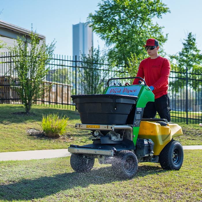 Pied Piper Pest, Termite & Lawn Service Image