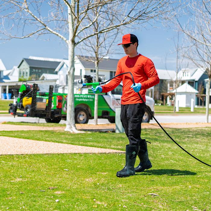 Pied Piper Pest, Termite & Lawn Service Image