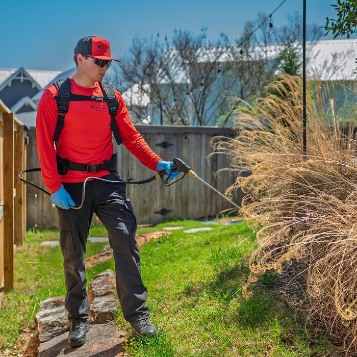 Pied Piper Pest, Termite & Lawn Service Image