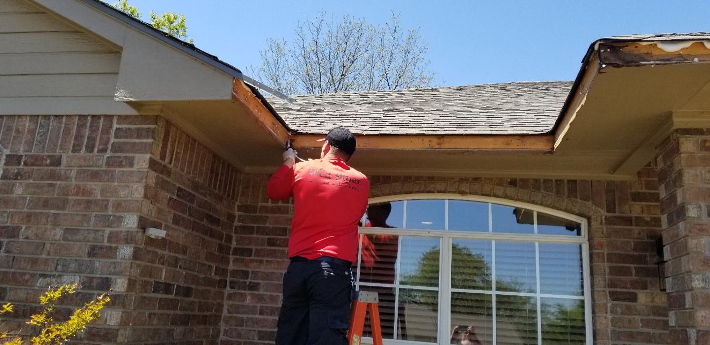 Pied Piper Pest, Termite & Lawn Service Image