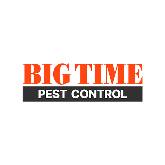 Big Time Pest Control Image