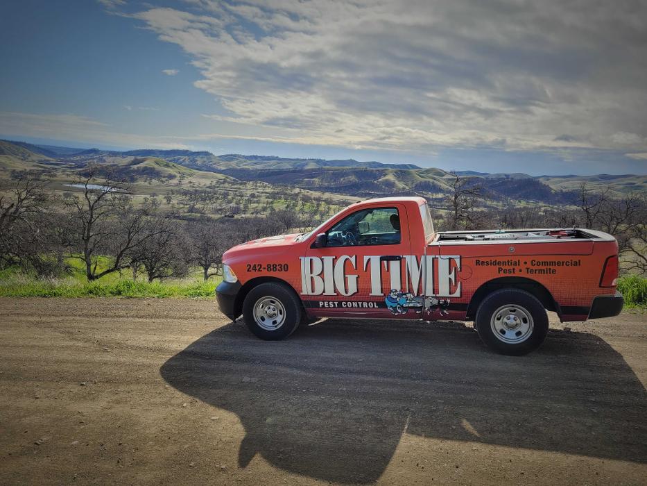 Big Time Pest Control Image