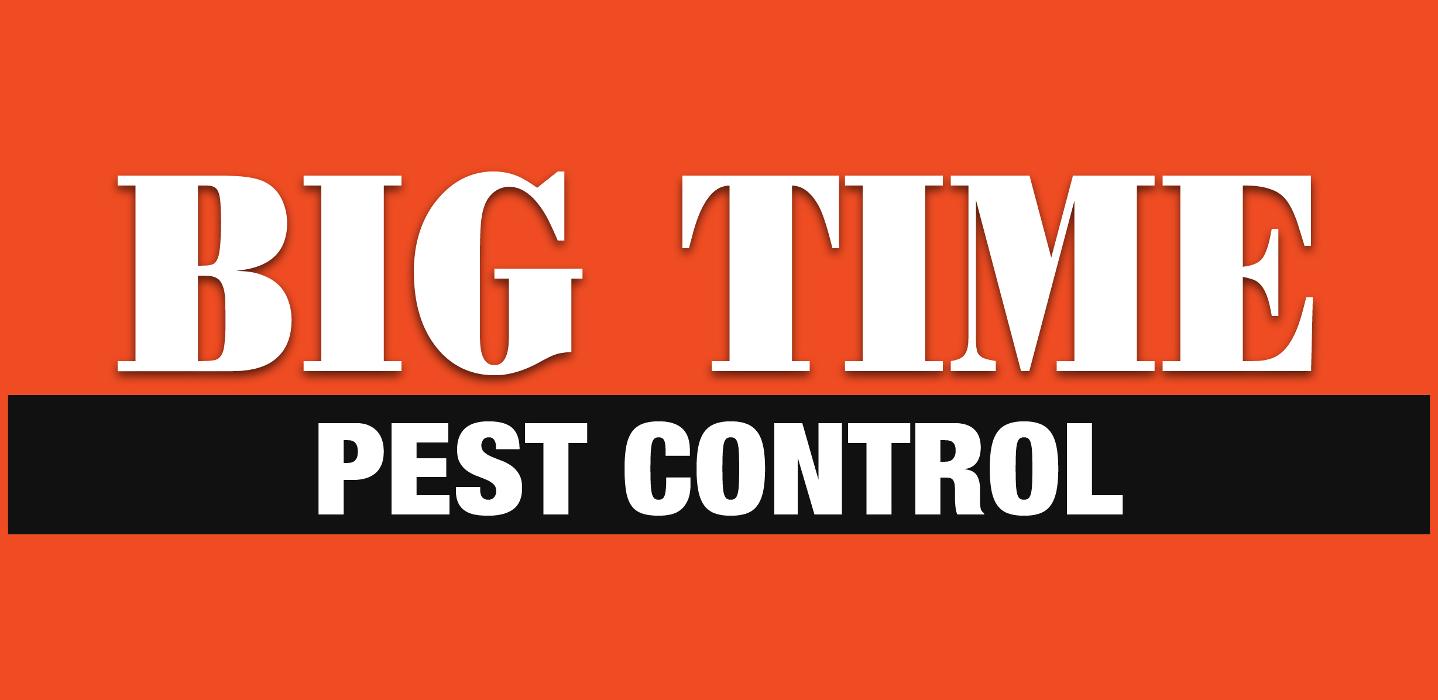Big Time Pest Control Image